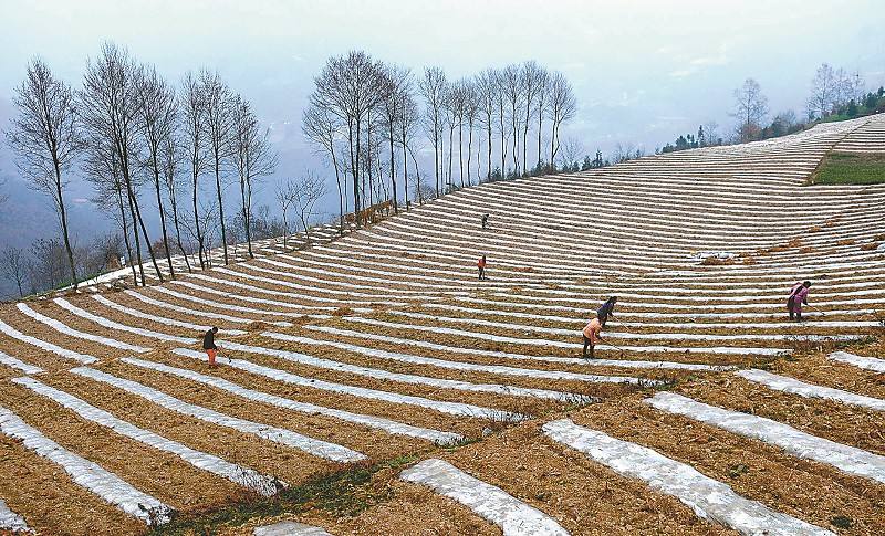 尊龙凯时·(中国区)人生就是搏!